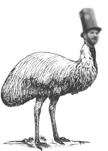 Picture of emu 