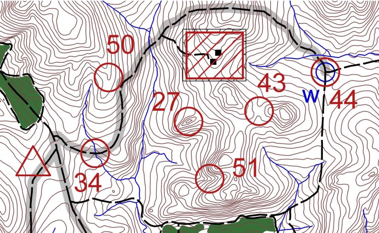 Example rogaining map